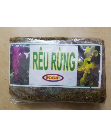 Rêu rừng