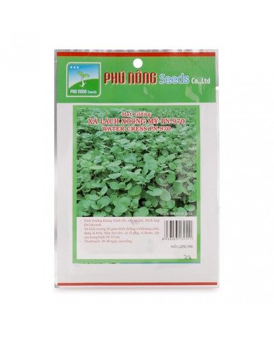 HẠT GIỐNG XÀ LÁCH XOONG