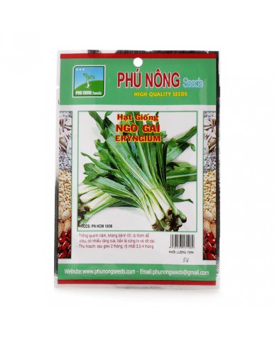 HẠT GIỐNG NGÒ GAI