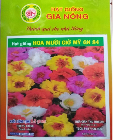 HẠT GIỐNG HOA MƯỜI GIỜ MỸ