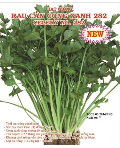 HẠT GIỐNG RAU CẦN CỌNG XANH