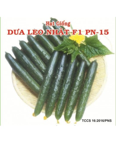 HẠT GIỐNG DƯA LEO NHẬT