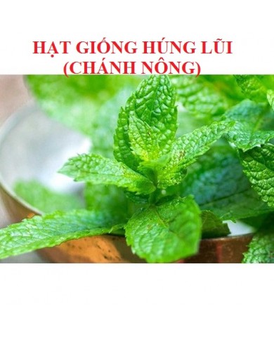 HẠT GIỐNG HÚNG LŨI