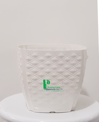Chậu nhựa trắng 16x11x14 cm
