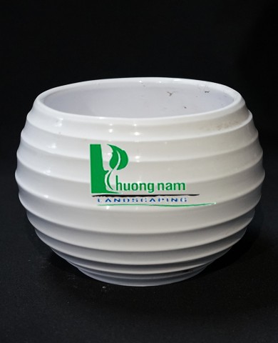 Chậu men trắng tô