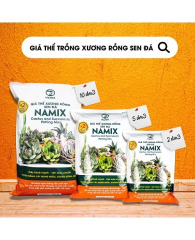 Giá thể trồng sen đá Namix
