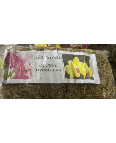 Rêu trồng lan