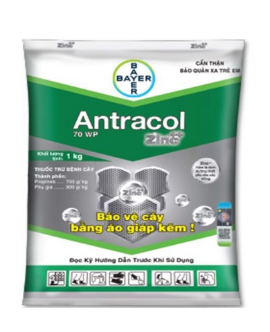 Thuốc trị bệnh ANTRACOL 70WP