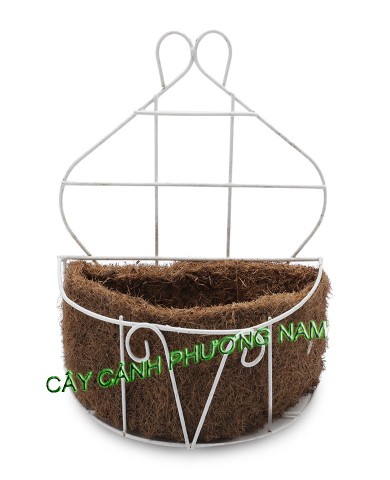 Chậu sắt ốp tường